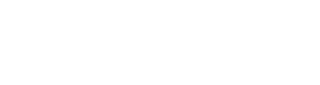 Logo Bossini